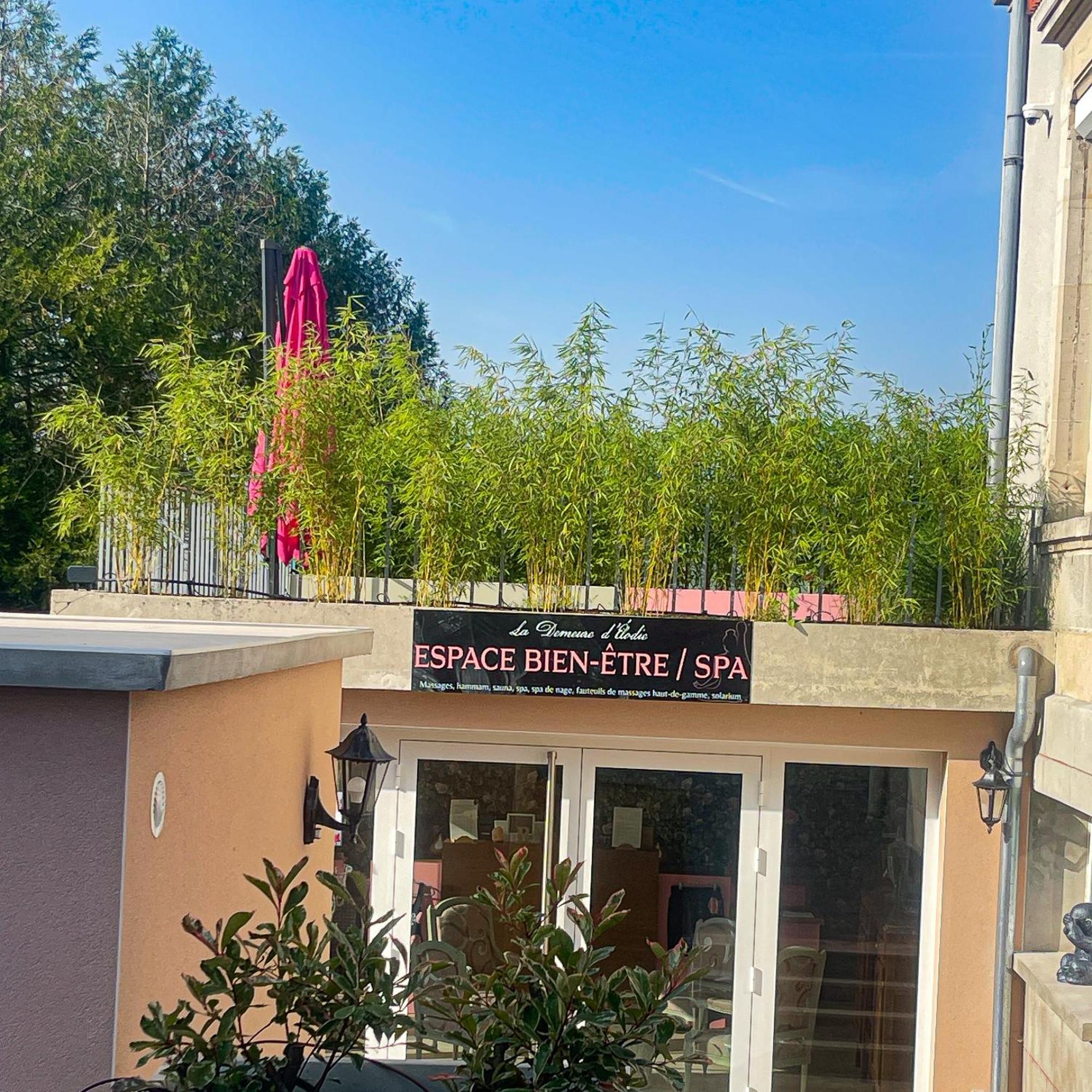 Épernay La Demeure D'Elodie מראה חיצוני תמונה
